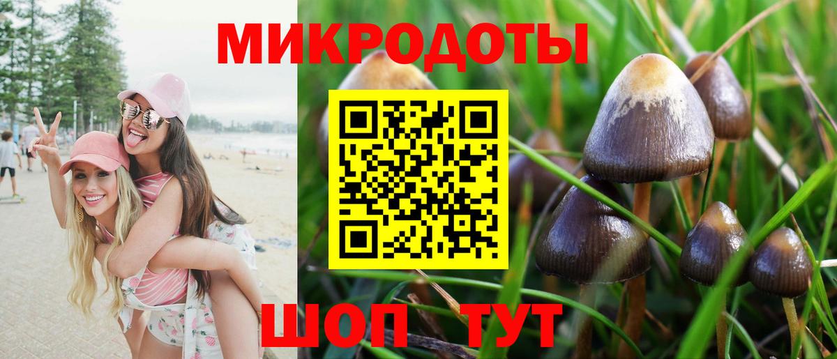 Псилоцибиновые грибы мицелий Чебаркуль